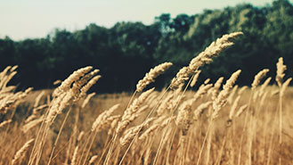 ddos攻击器安卓ios下载